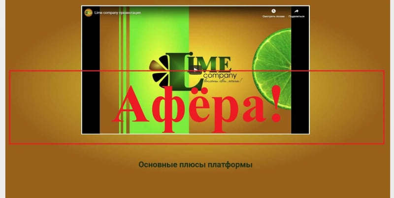 Lime company – отзывы и обзор lime.partners - Seoseed.ru