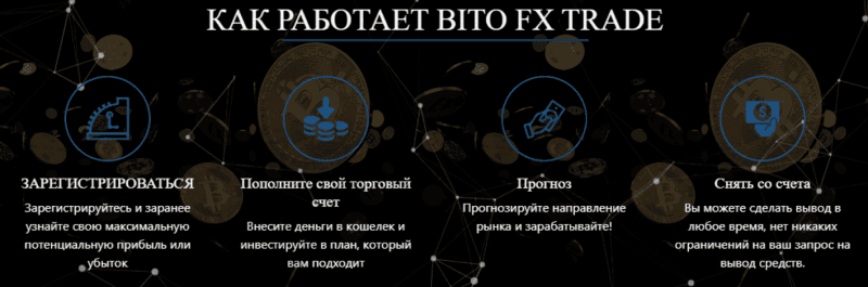Bito Fx Trade – новый брокерский лохотрон