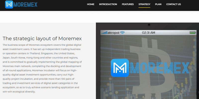 Подробный обзор о компании MOREMEX