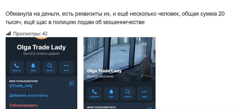 Olga Trade Lady is another pseudo-trader from Telegram
