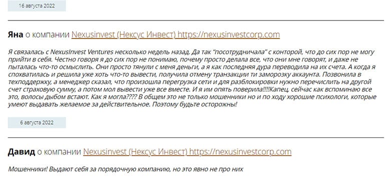 Nexus Investment Ventures – przegląd platformy inwestycyjnej.