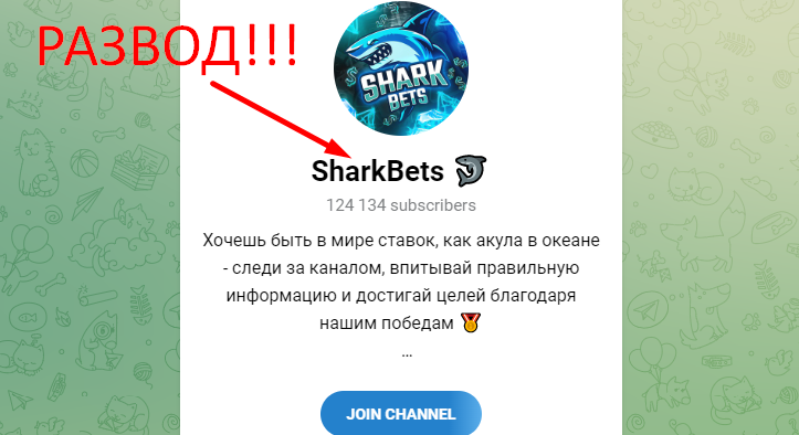 Sharkbets reviews and project overview