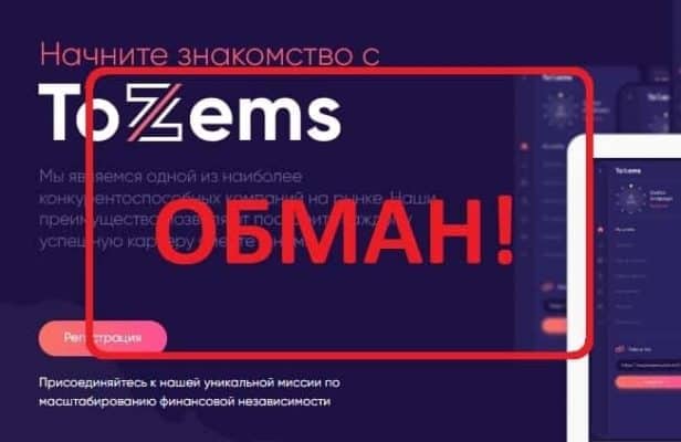 ToZems — отзывы о компании tozems.net — Seoseed.ru