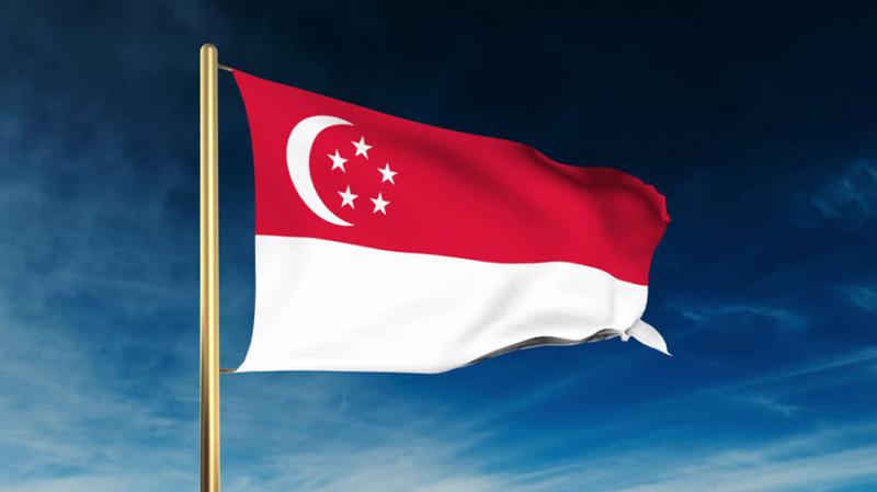 В Сингапуре выявляют 631 случай мошенничества с криптовалютами в год