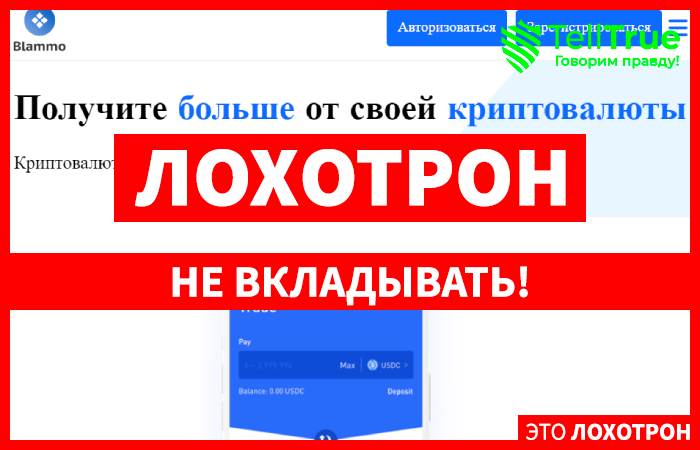 Blammo (blammoltd.com) scam broker! Reviewed by TellTrue