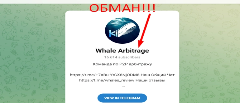 Whale arbitrage reviews telegram channel