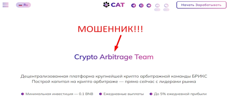 Crypto arbitrage team cat reviews