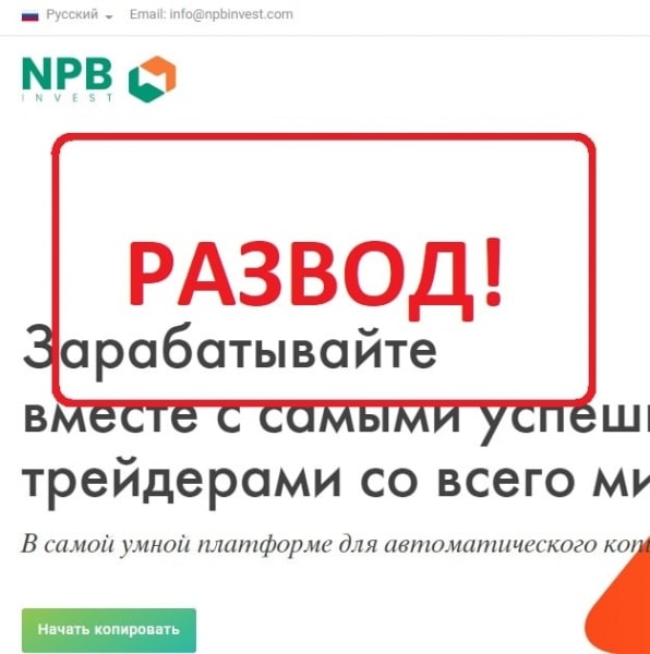 NPB Invest отзывы — проект от брокера NPBFX — Seoseed.ru