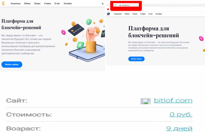 Bitlof (bitlof.com) разоблачение лжеобменника!