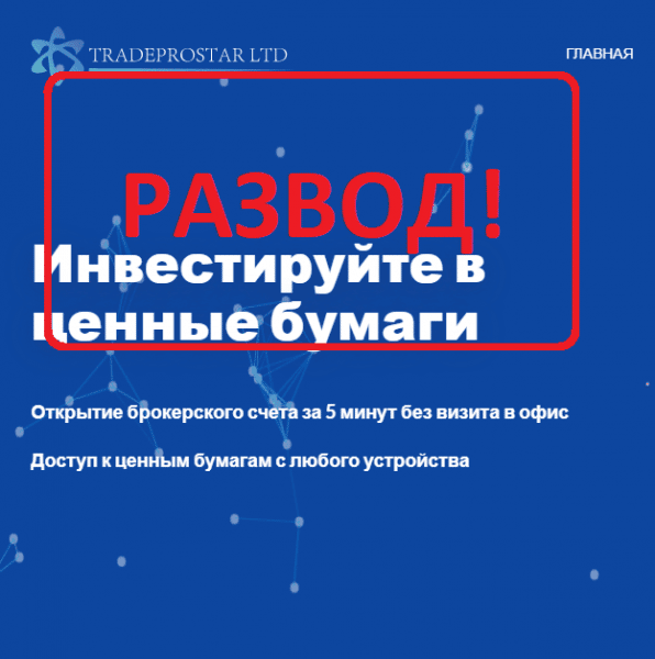 Отзывы клиентов о Tradeprostar.com — обзор компании — Seoseed.ru
