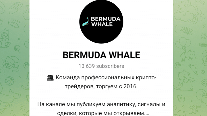 Bermuda Whale (t.me/whalebermuda) какой обман готовят на канале?