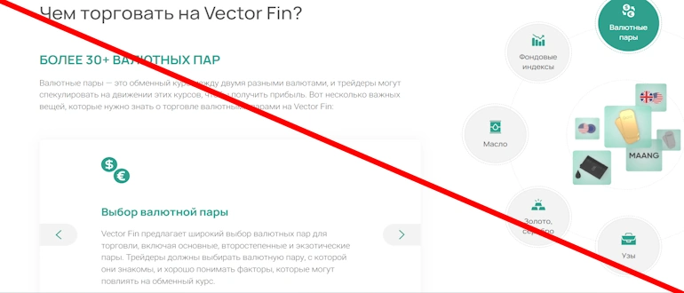 Vector Fin – обзор и отзывы, лохотрон