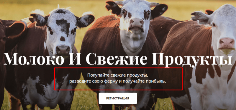 Полный обзор брокера Ranchcoin