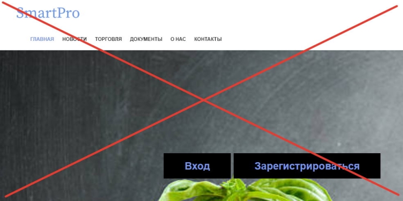 Smartpro Club &mdash; отзыв о брокере, не возвращающем деньги трейдерам